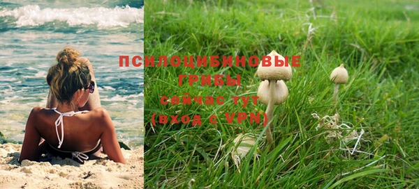 ешки Богородицк
