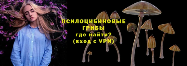 не бодяженный Богородск