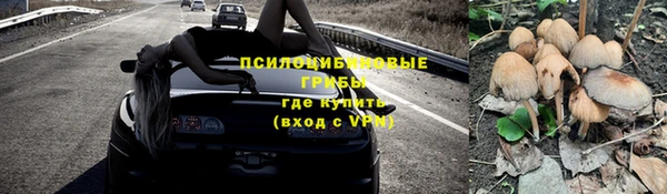 ешки Богородицк
