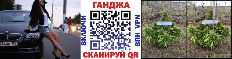 Шишки марихуана марихуана  Староминская 